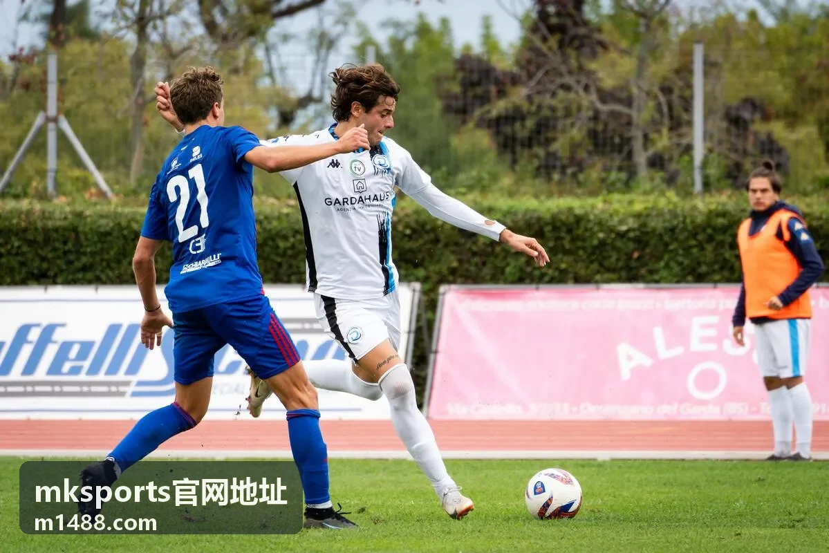 mksports官网地址权益阶梯说明图
