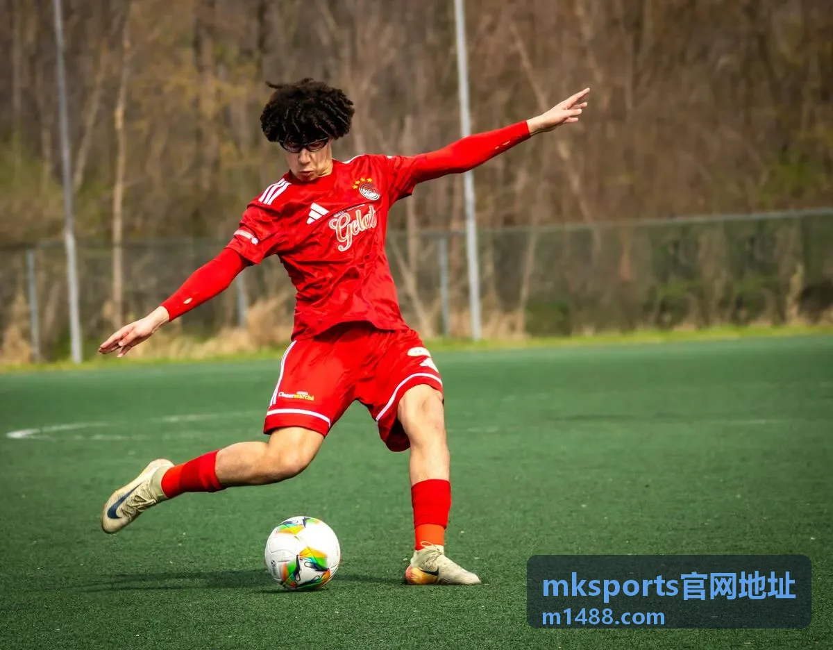 mksports官网地址访问排查流程配图