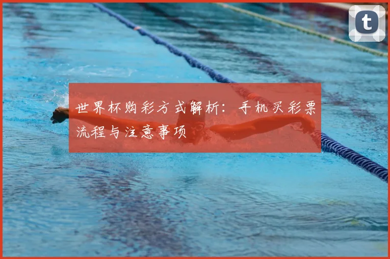 世界杯购彩方式解析：手机买彩票流程与注意事项