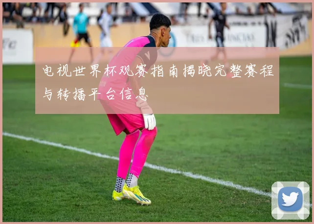 电视世界杯观赛指南揭晓完整赛程与转播平台信息