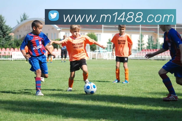 开云官方版入口平台生态图