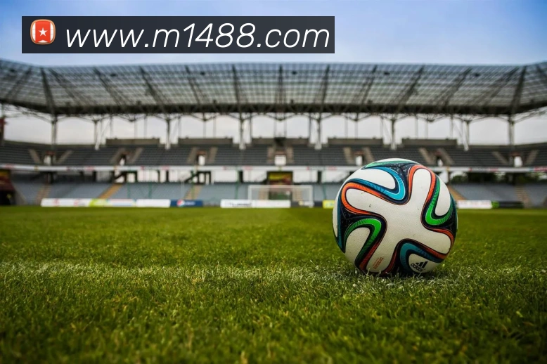 开云官方版入口APP 封面图